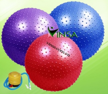 Bóng Yoga Gai Vinsa